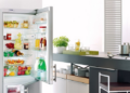 Как выбрать хороший холодильник для своей кухни: полезные советы