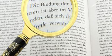 Вартість перекладу документів або текстів: основні правила