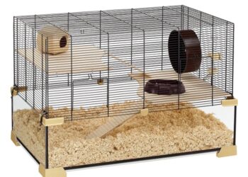 Як обрати правильний наповнювач для клітки хом’яка