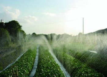 Як правильно розташовувати стрічку для оптимального поливу