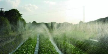 Як правильно розташовувати стрічку для оптимального поливу