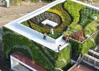 Зелені дахи: інноваційні технології у ландшафтному дизайні міських об’єктів