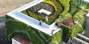 Зелені дахи: інноваційні технології у ландшафтному дизайні міських об’єктів