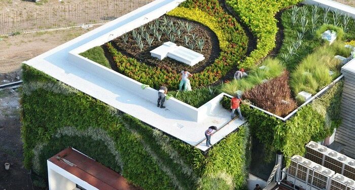 Зелені дахи: інноваційні технології у ландшафтному дизайні міських об’єктів