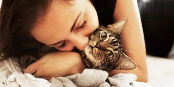 Яка порода кота вам підходить: особливості та поради