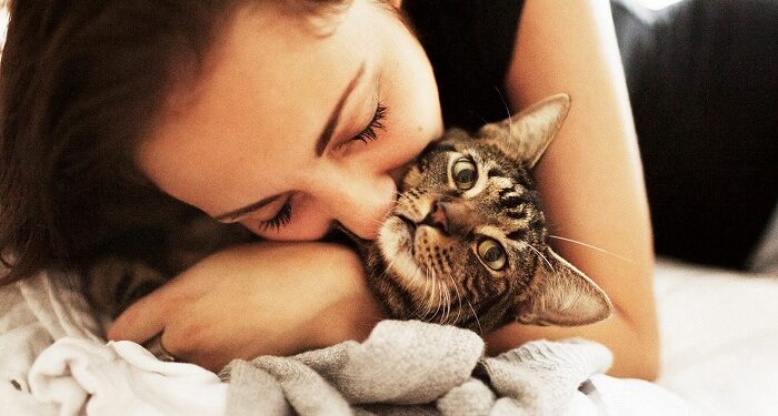 Яка порода кота вам підходить: особливості та поради