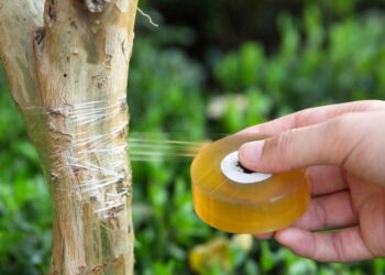 Плівка для окулірування: переваги та правила використання