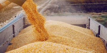 What are the Top 3 grain exporting countries