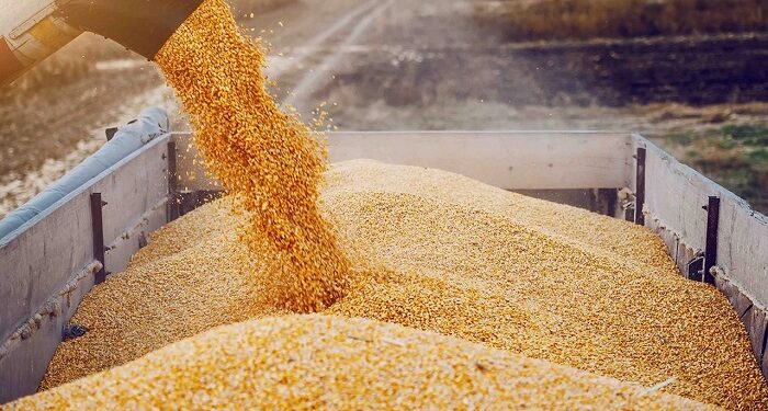 What are the Top 3 grain exporting countries