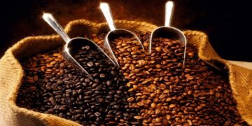 Зерновий кофе: основні різновиди, рекомендації щодо вибору та переваги