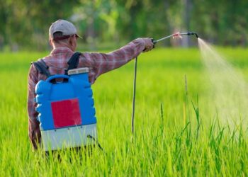 Как правильно использовать биоциды: особенности и сфера применения