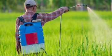 Как правильно использовать биоциды: особенности и сфера применения