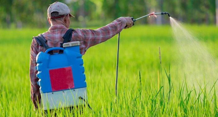 Как правильно использовать биоциды: особенности и сфера применения