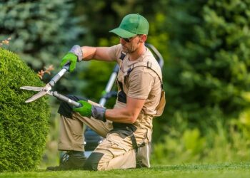 Послуги догляду за садом: професійний підхід до зеленої гармонії