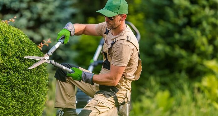 Послуги догляду за садом: професійний підхід до зеленої гармонії