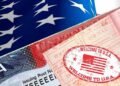 Как оформить визы в США и не потеряться в бюрократии