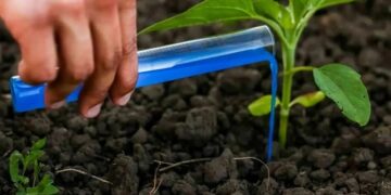 Микроудобрение: ключ к раскрытию потенциала современных сортов