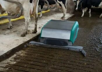 Сучасна система гноєвидалення – шлях до чистоти, ефективності та прибутку