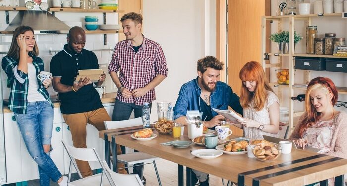 Co-living vs traditional renting: rules and features