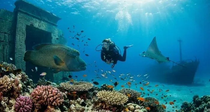 Getting ready for the Red Sea: a practical guide to Egypt’s Southern Coast