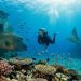 Getting ready for the Red Sea: a practical guide to Egypt’s Southern Coast